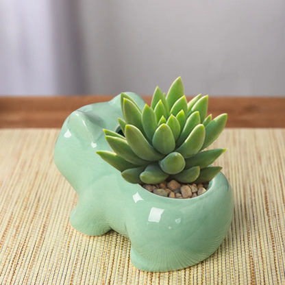 Pokémon Bulbasaur Ceramic Mini Flowerpot